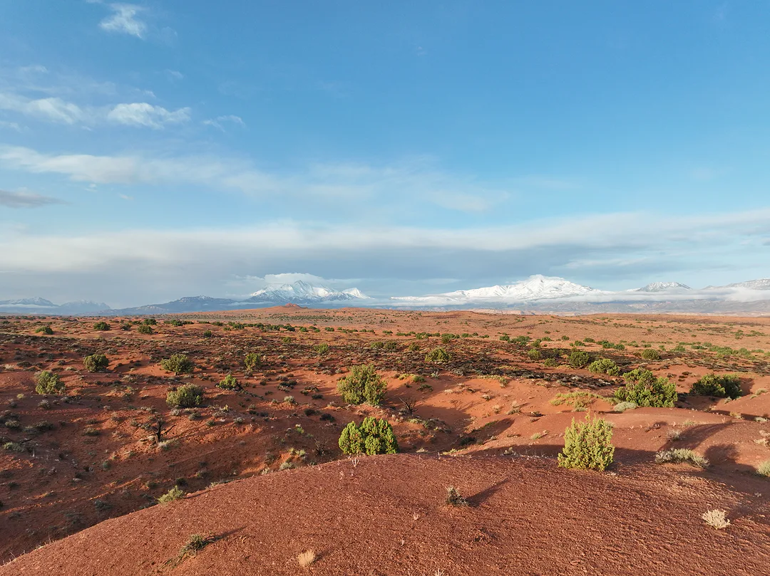 Red desert scattered with juniper, snow-covered peaks along the horizon under a wide blue sky
