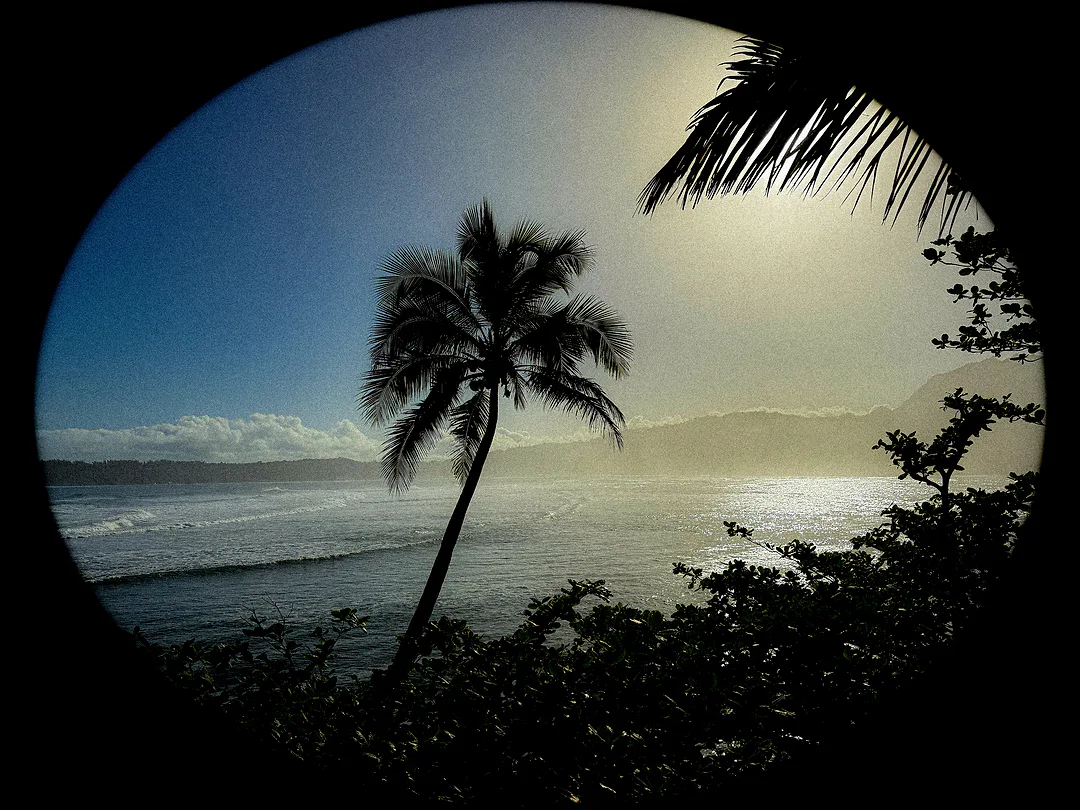 Photograph from Archive by QXO