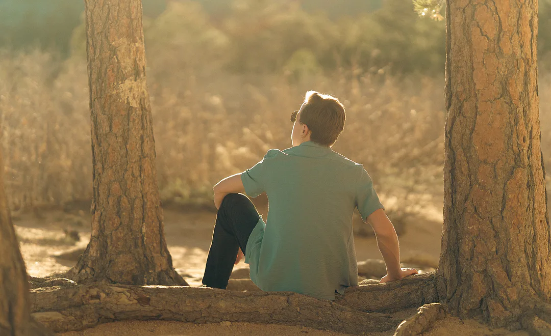 Young man seen from behind, sitting between two pine trunks and looking out into a hazy sunlit clearing