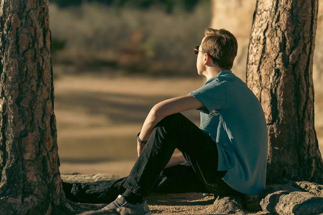 Young man sitting between two pine trunks with his arms around one knee, looking out across a sunlit field