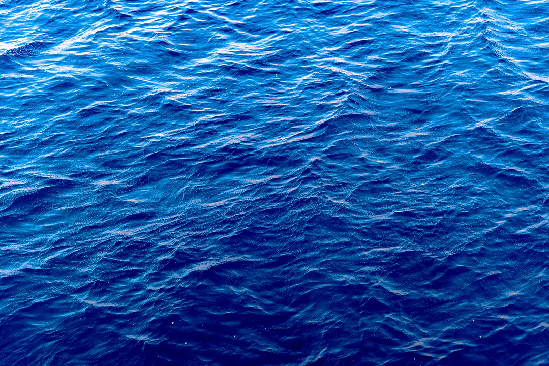 Deep blue open water, its surface rippled by wind and catching the light